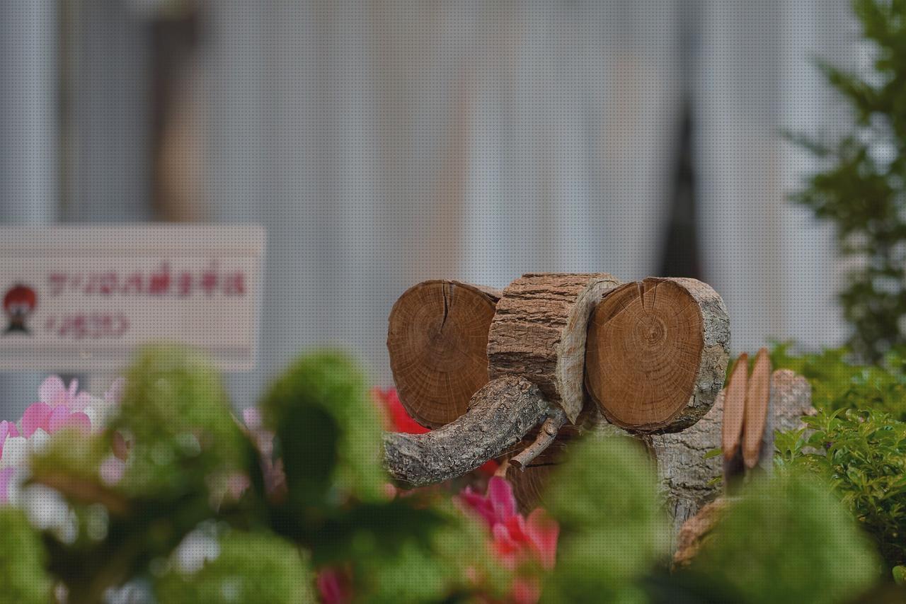 Las mejores andador madera elefante de madera