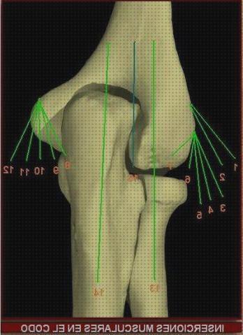 Las mejores marcas de edema oseo subcondral de rodilla ortopedia bami columna cervical rectificada epitroclea codo