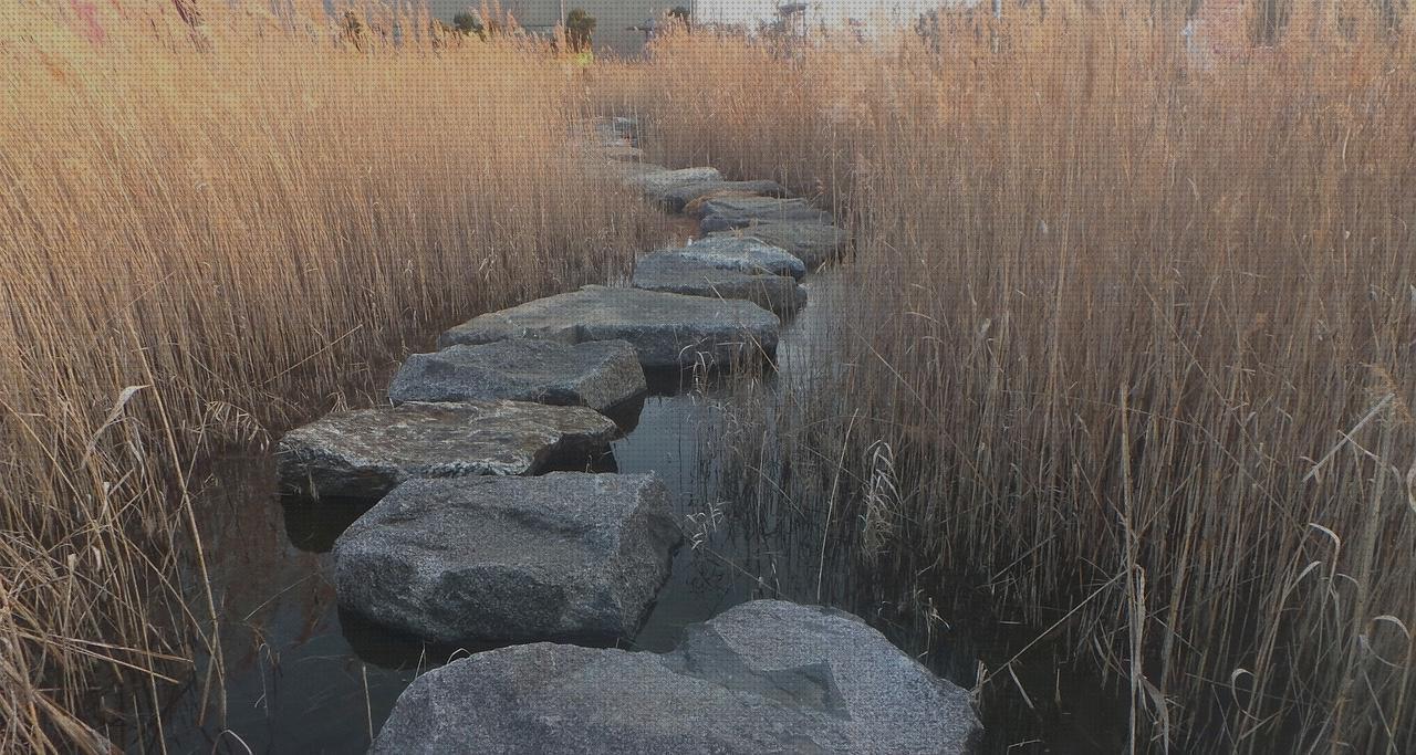 Los mejores 21 Escalon De Baños