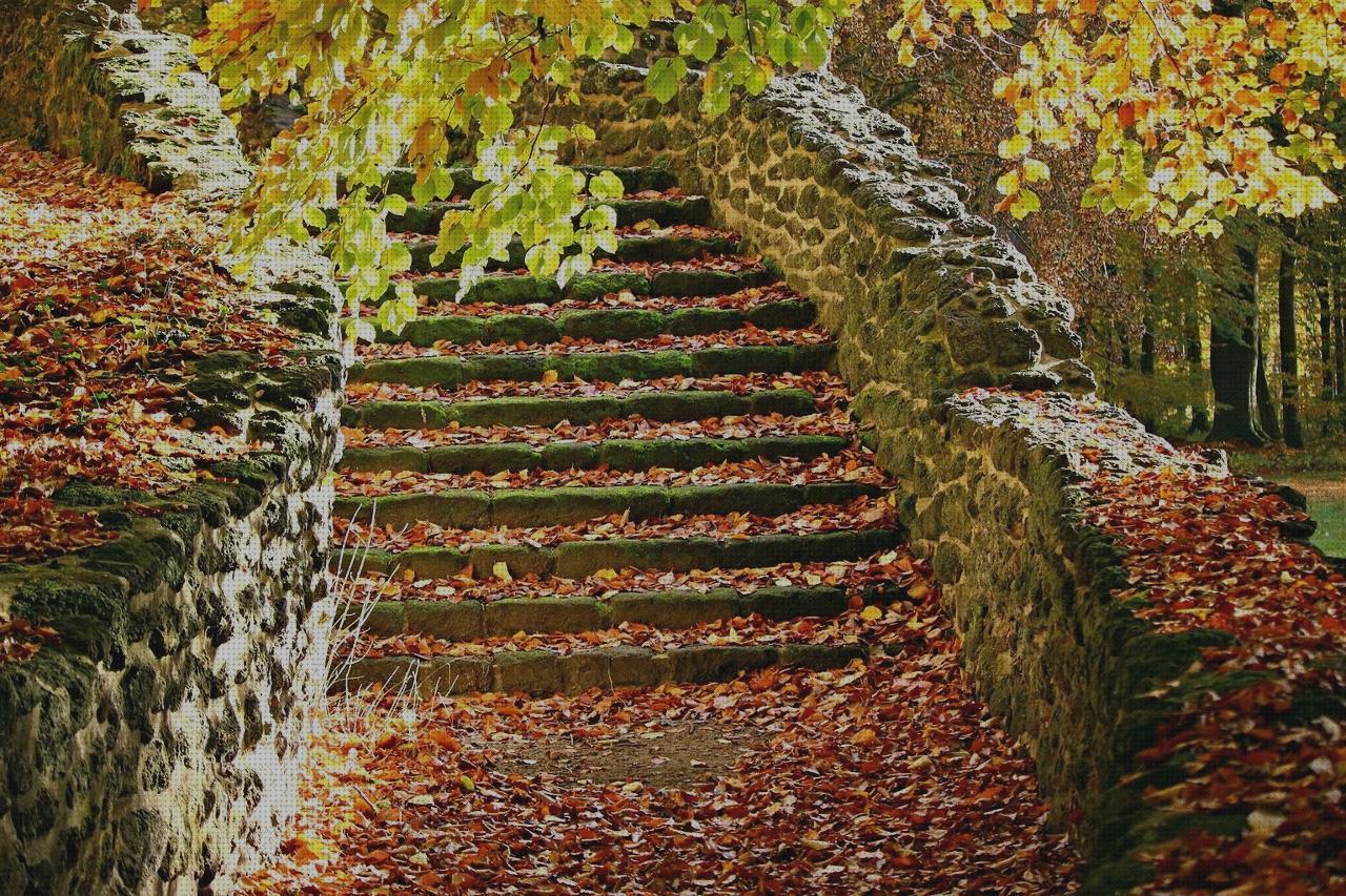 Las mejores escalon escalon ortopédico