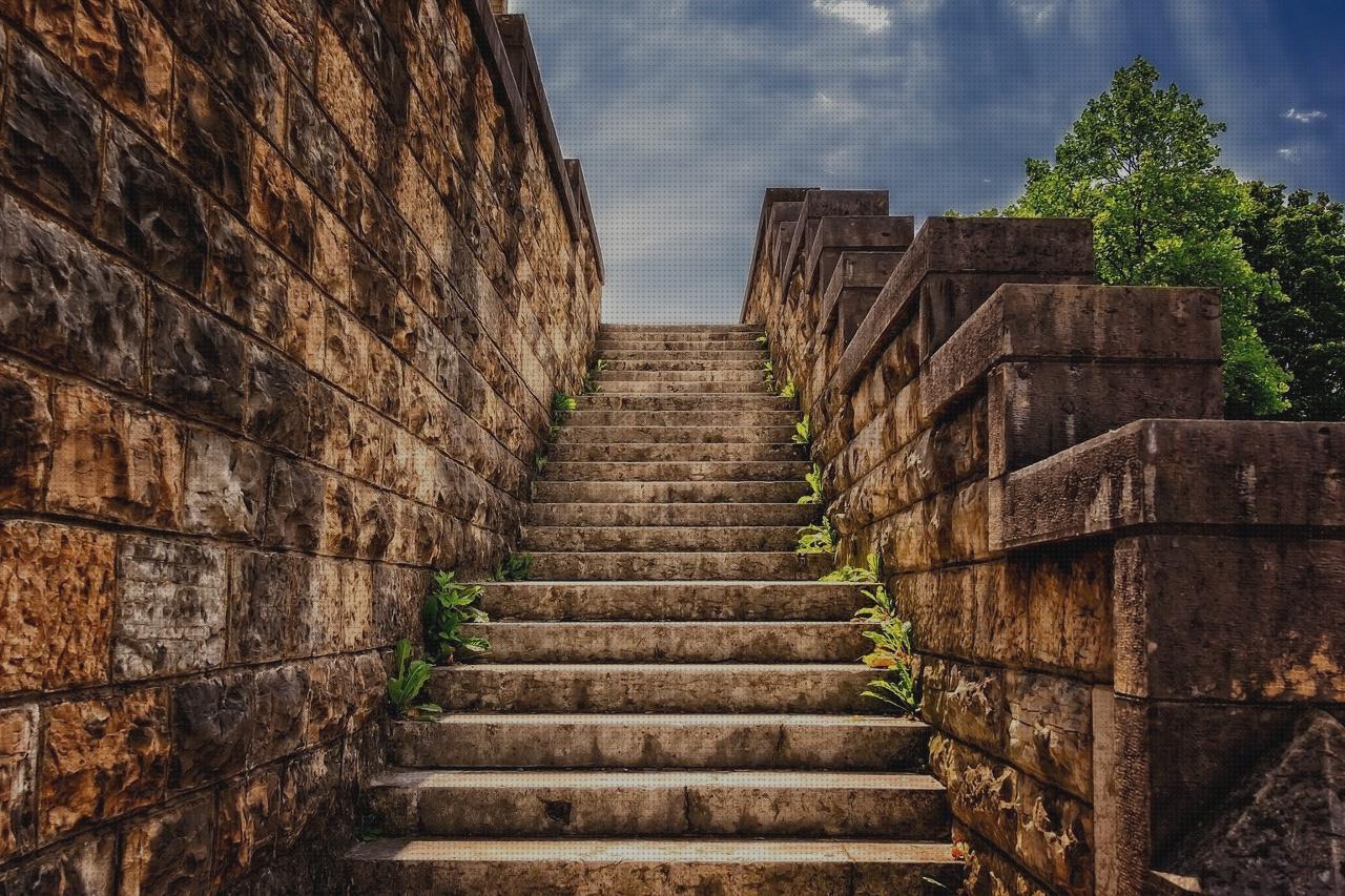 TOP 25 escalon ortopédico