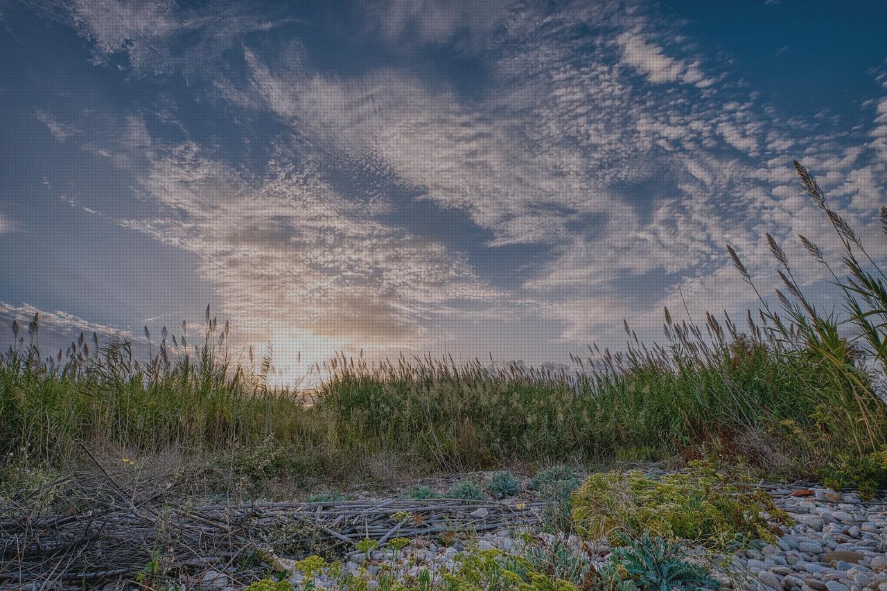 Review de esparto ortopedica