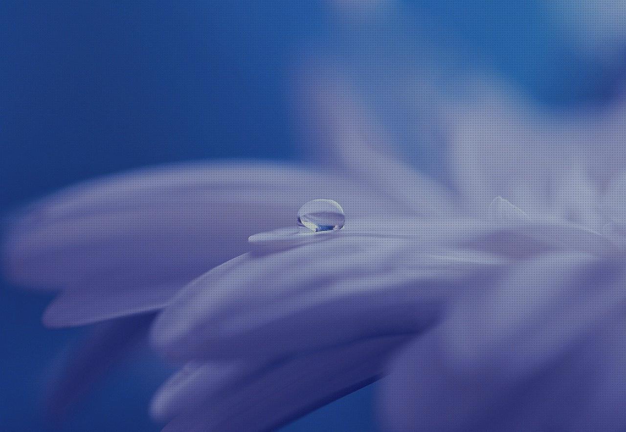 Las mejores marcas de andador espejos cifosis correccion ortopédica menton corset ortopédico cifosis espejos abatibles