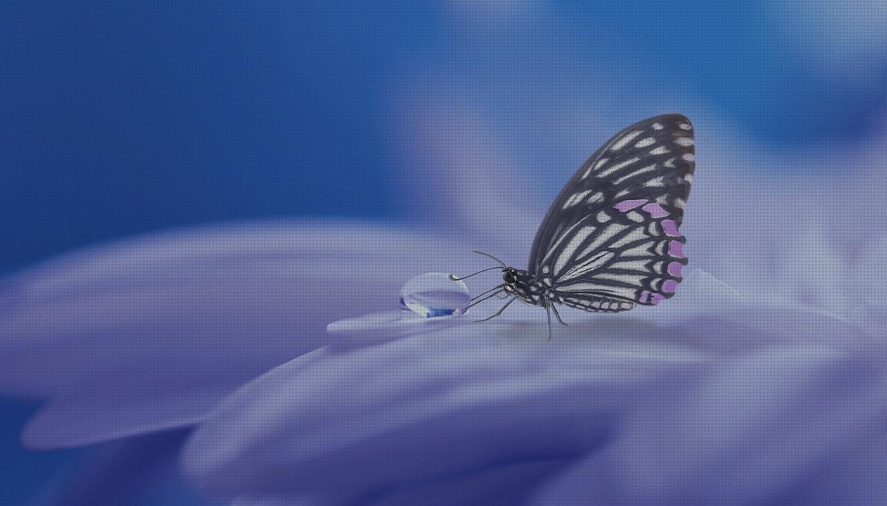 Review de espejos abatibles