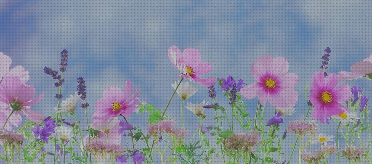 ¿Dónde poder comprar andador espejos cifosis correccion ortopédica menton corset ortopédico cifosis espejos ortopédicos?