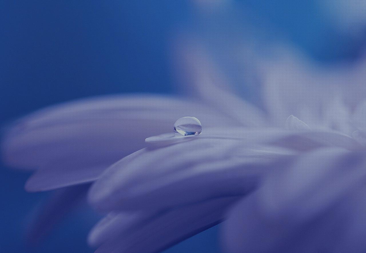 Las mejores marcas de andador espejos cifosis correccion ortopédica menton corset ortopédico cifosis espejos ortopédicos