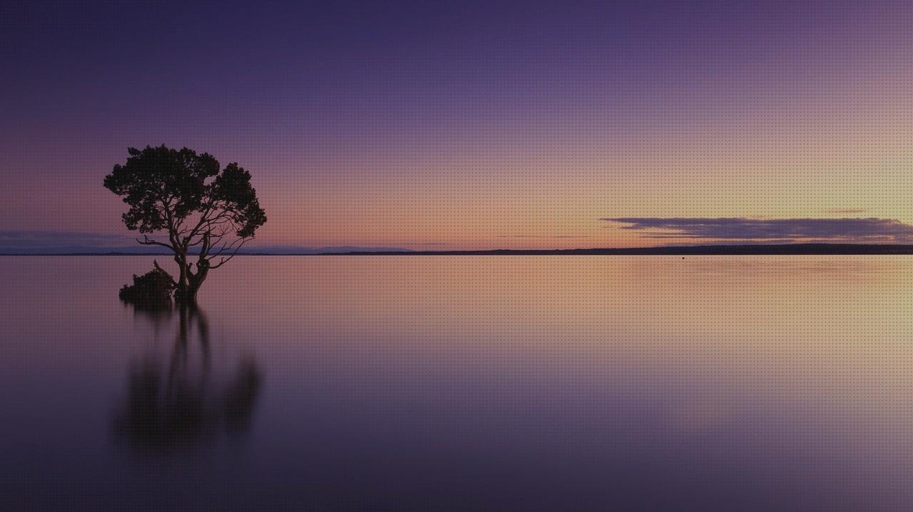 Review de los 10 mejores espejos ortopédicos