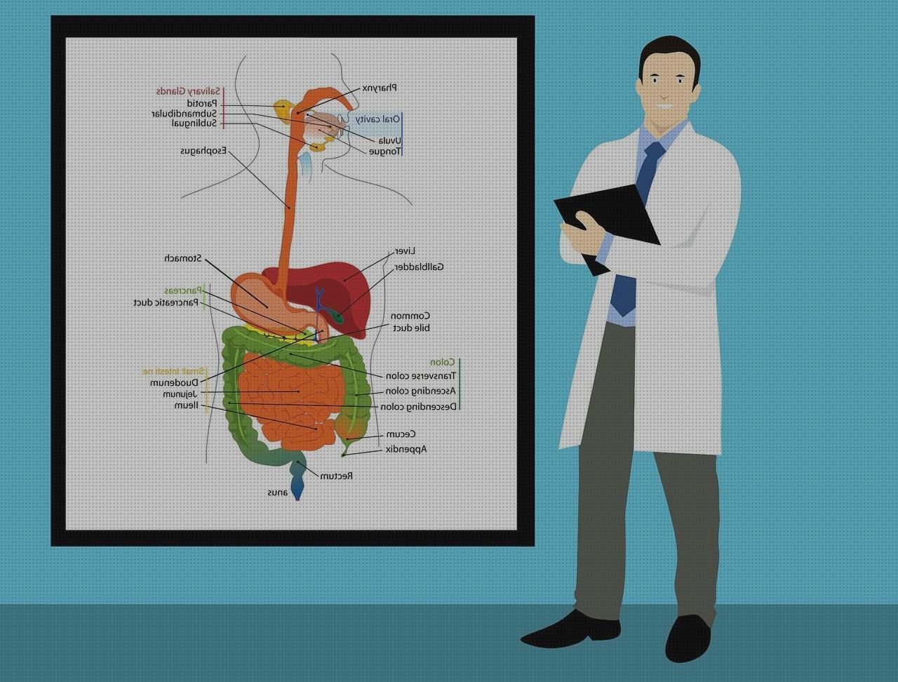 Las mejores marcas de fistula