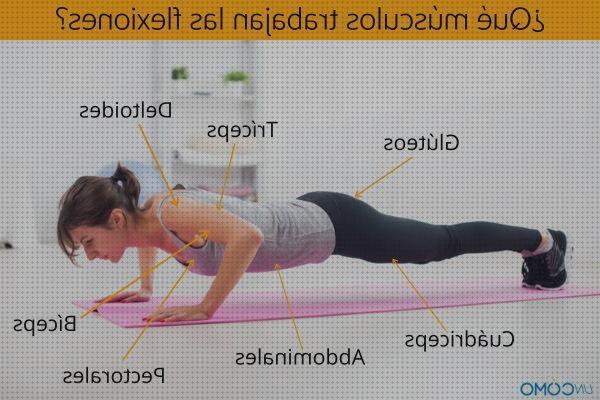 Las mejores marcas de rodillera ortopédica flexoextension colchoin ortopédico freedog rojo colchon ortopédico freedog rojo flexoextensión de rodilla