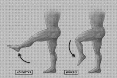 Opiniones de los 25 mejores Flexoextensión De Rodillas