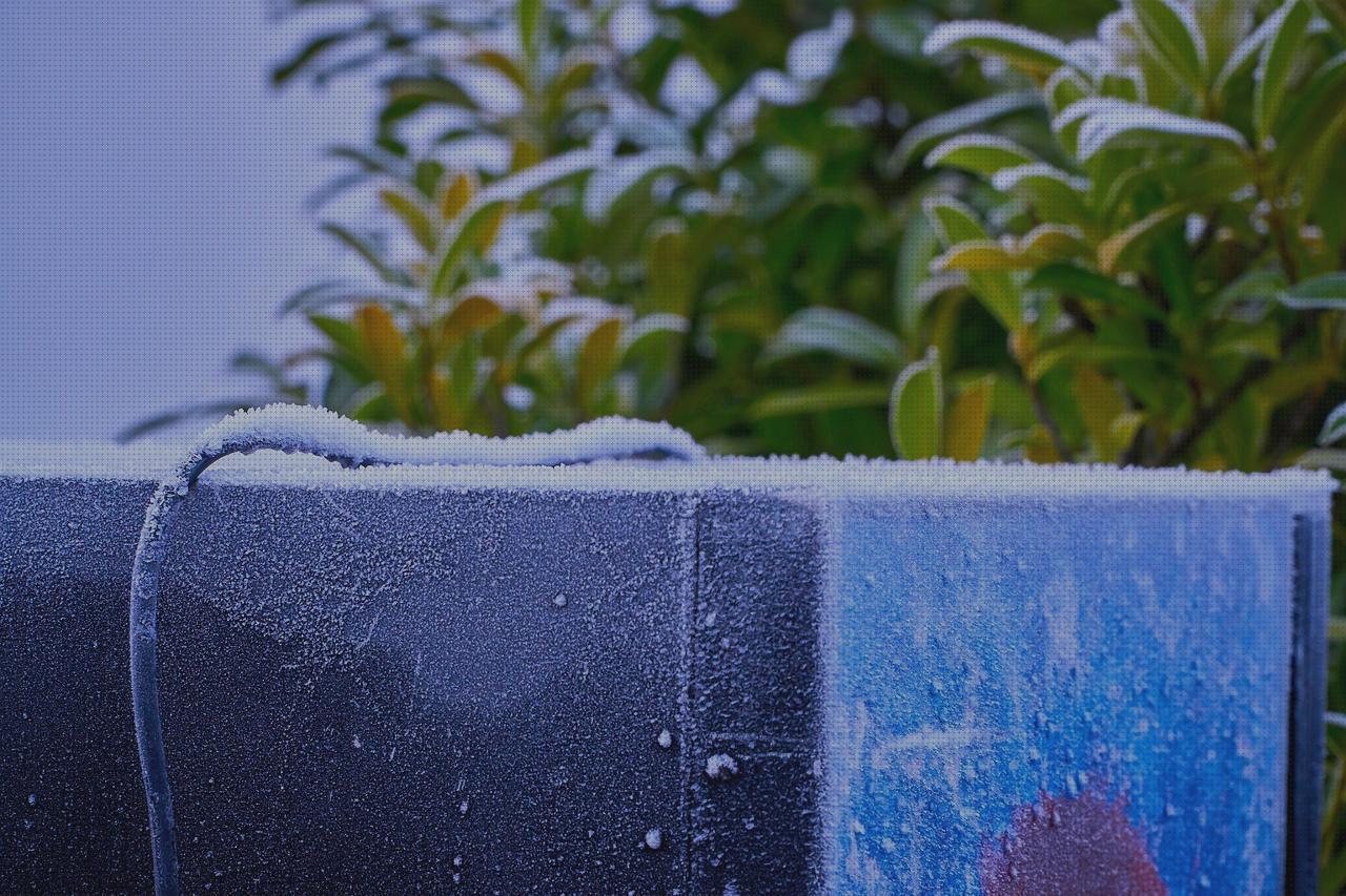 Las mejores residencia fortuny albors vaso de disfagia cabestrillo velour frigorifico liebherr temperatura