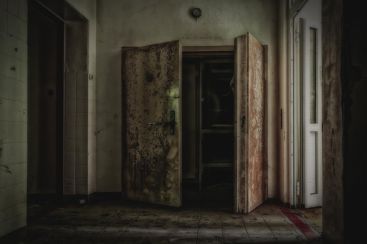 TOP 11 frigorificos liebherr temperaturas bajo análisis