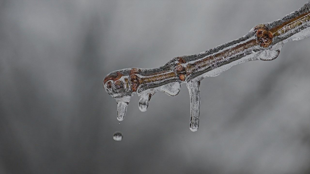 Review de funda colchon antiacaros