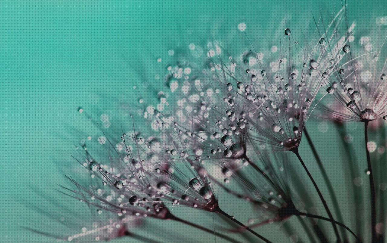 Mejores 18 gotas humectantes