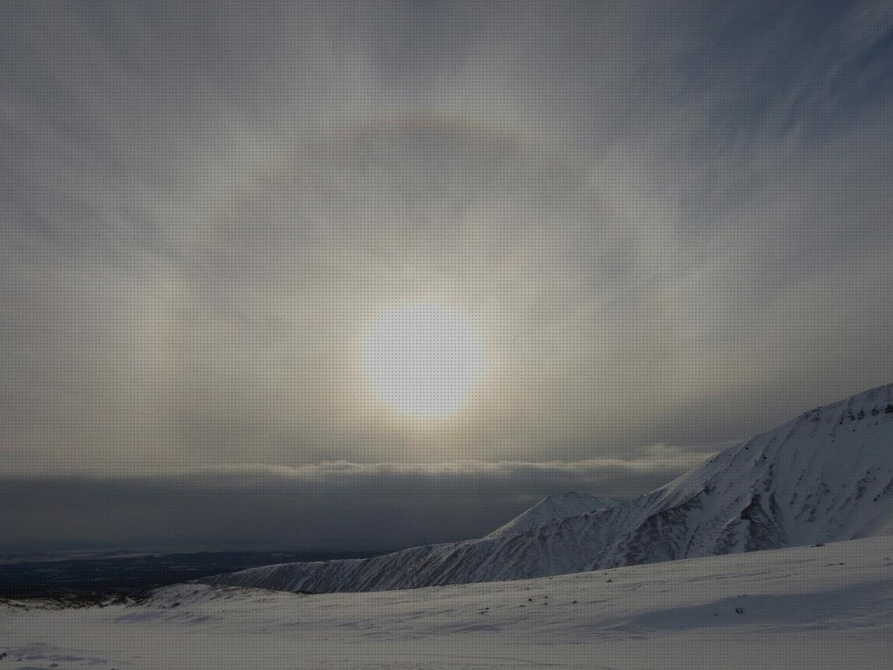 ¿Dónde poder comprar compresas de esponjear compresas incontinencia disras orejas halo en andador?
