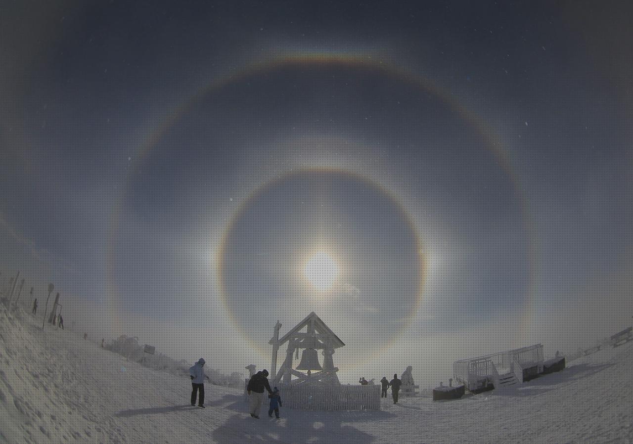 Las mejores marcas de compresas de esponjear compresas incontinencia disras orejas halo en andador