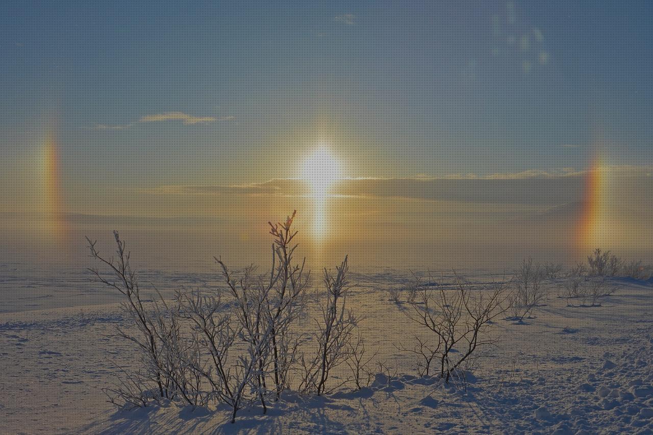 Las mejores compresas de esponjear compresas incontinencia disras orejas halo en andador