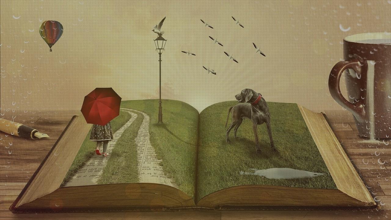 Las mejores marcas de digiflex residencia fortuny albors vaso de disfagia historias motivacionales