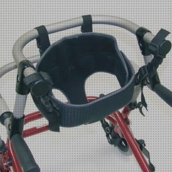 Review de hoggi andador flux