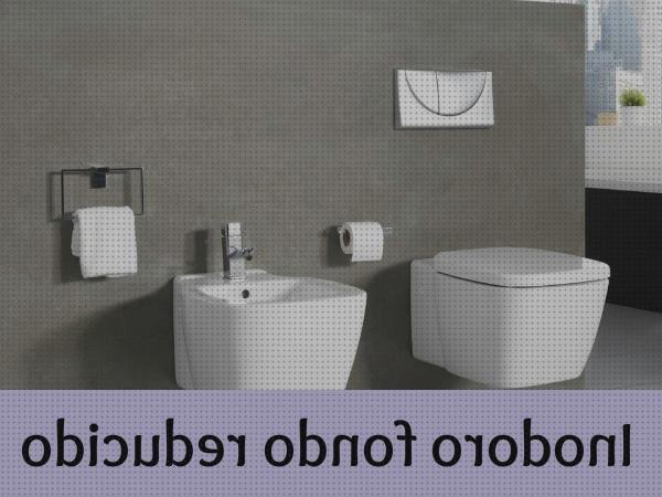 Las mejores vater ortopédico inodoro 45 cm fondo