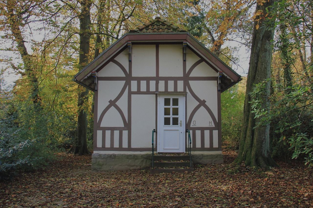 Review de inodoro dama senso