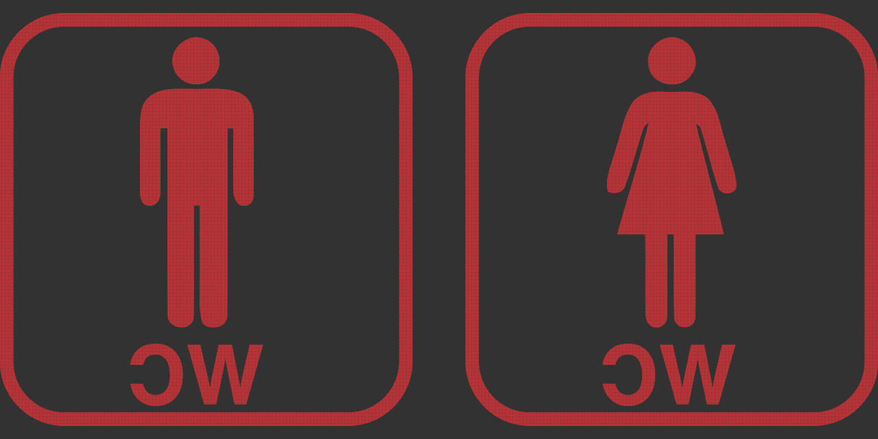 Análisis de los 8 mejores inodoros damas senso