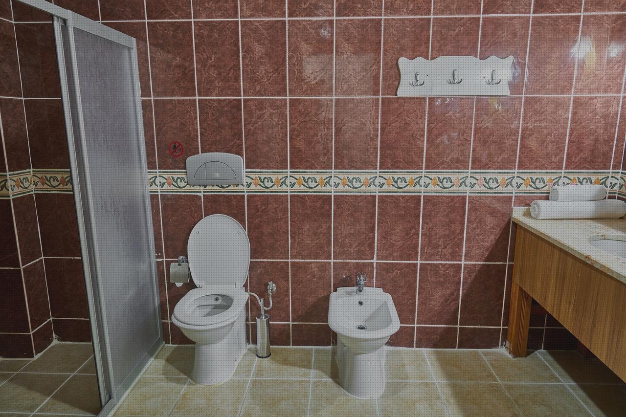 Las mejores marcas de vater ortopédico inodoro roca gondola