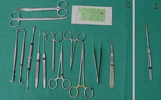 Las mejores 10 Instrumentales Sanitarios Auxiliares De Enfermeria