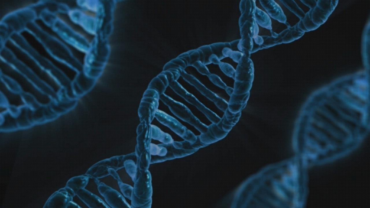 ¿Dónde poder comprar laboratorio ortopedico?