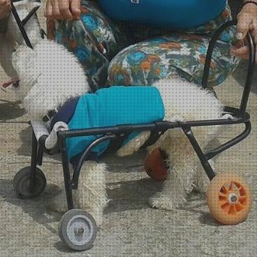 ¿Dónde poder comprar perros ruedas materiales para silla de ruedas para perros?