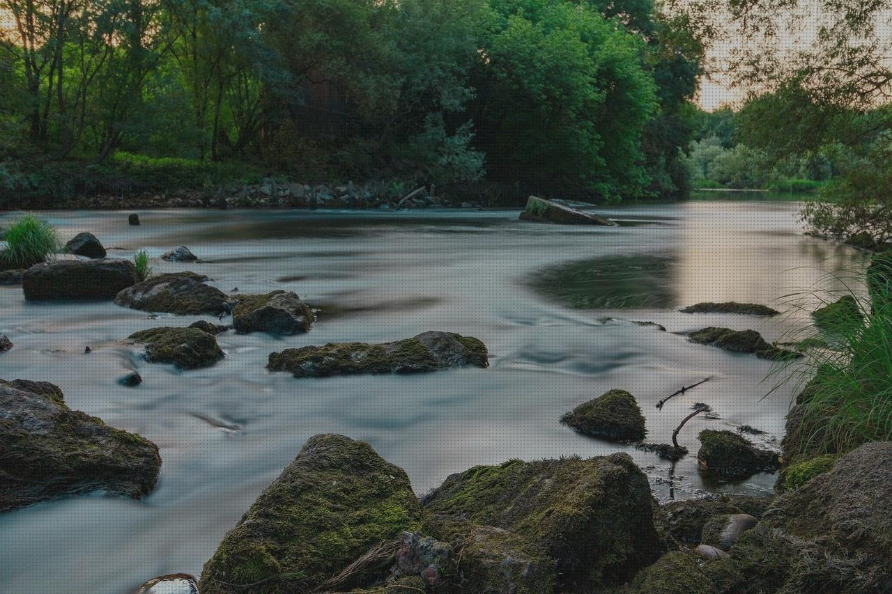 Las mejores marcas de minas ortopedica