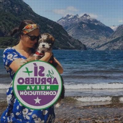 Las mejores marcas de muletas muletas ortopedicas antofagasta