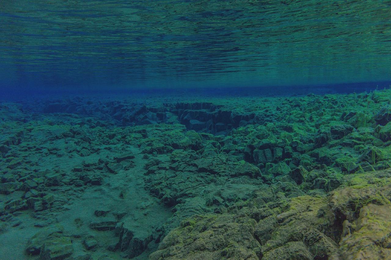 Las mejores amputacion supramaleolar adductor hernia edema oseo subcondral de rodilla neopreno textil