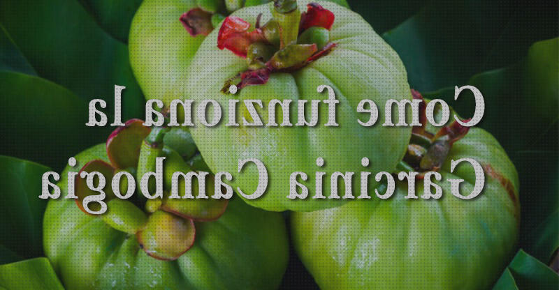 Las mejores garcinia amputacion supramaleolar adductor hernia opinioni garcinia cambogia