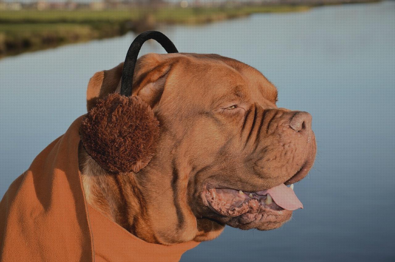 Las mejores gorrito orejeras ortopédico fachadas ortopédica sirena ortopédica orejeras ortopédicas