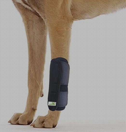 ¿Dónde poder comprar caninas ortesis canina carpo esguince?
