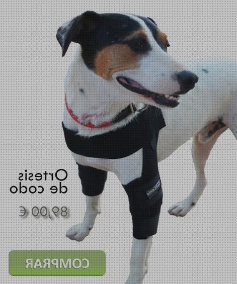Las mejores 37 Ortesis Caninas Carpos Esguinces