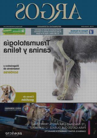 Las mejores lumbosacra ortesis ortesis lumbosacra dinámica tipo williams