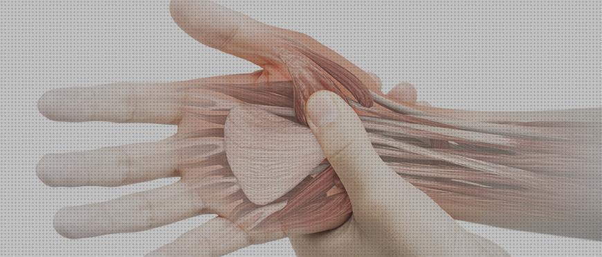 Las 19 Mejores Ortesis Para Lesiones Tendon Extensores Manos