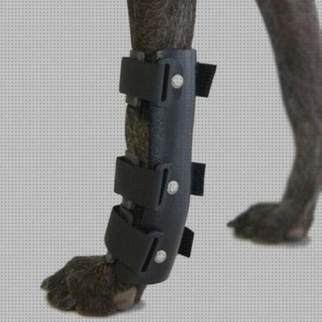 ¿Dónde poder comprar perros ortesis ortesis para perros carpo?