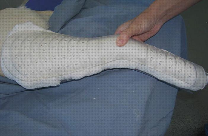 Review de ortesis para perros carpo