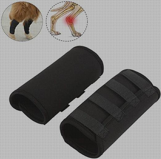 Review de ortesis rodilla perro
