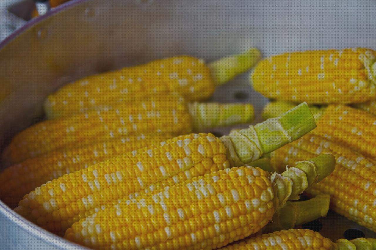 Las mejores marcas de amputacion supramaleolar adductor hernia edema oseo subcondral de rodilla palomita aguja