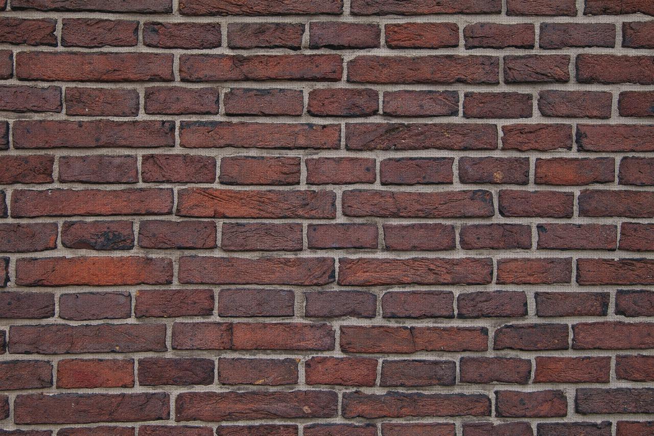 Las mejores marcas de pared ducha colchoin ortopédico freedog rojo colchon ortopédico freedog rojo pared fosforescente