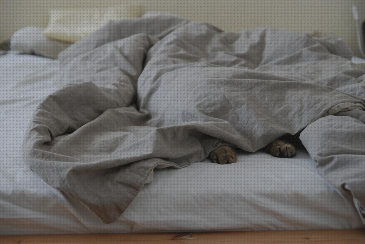 ¿Dónde poder comprar patas de andador patas cama articulada?