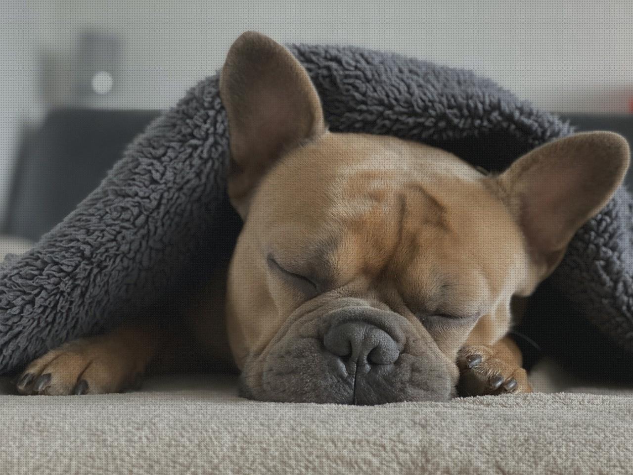 Mejores 7 patas de somier bajo análisis