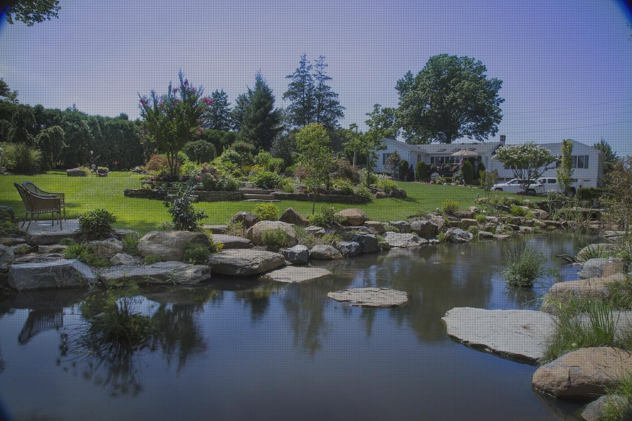 Análisis de los 8 mejores peldaños exteriores del mundo