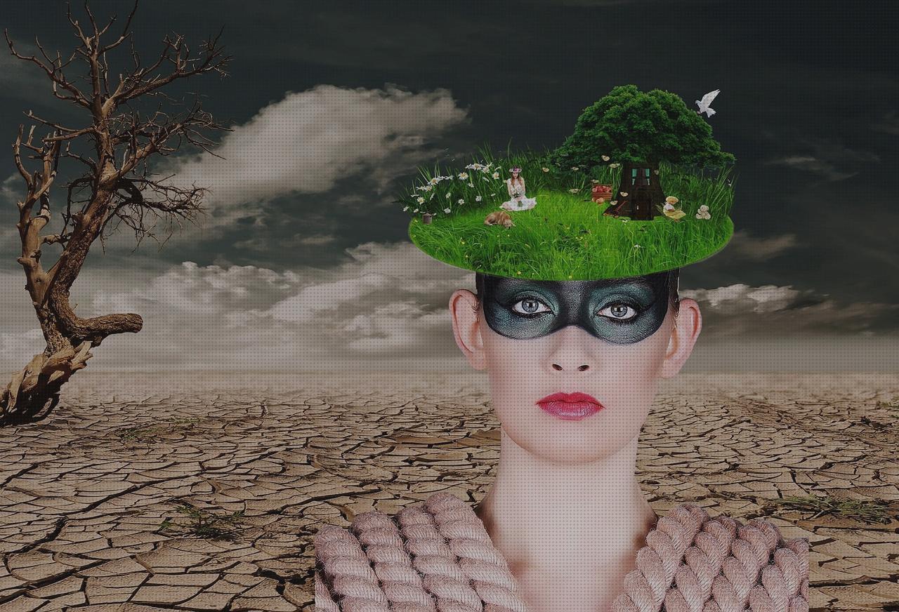 Las mejores marcas de peluche andador bisturi n 23 bisturi quirurgico peluche perro andador