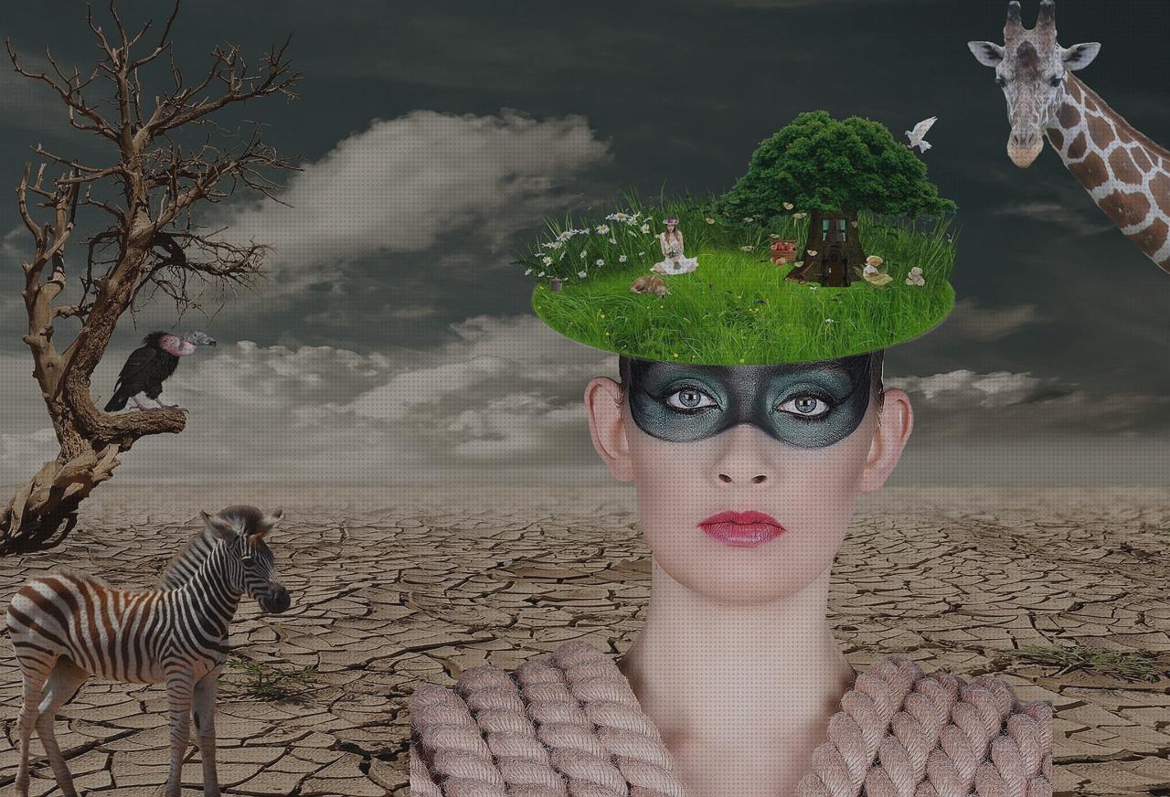 Las mejores peluche andador bisturi n 23 bisturi quirurgico peluche perro andador