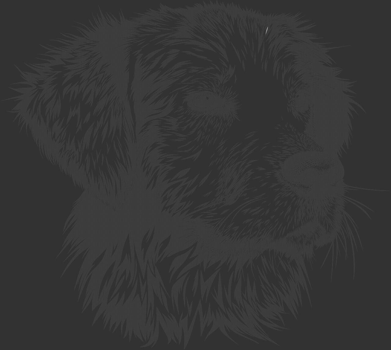 ¿Dónde poder comprar perrito andador?